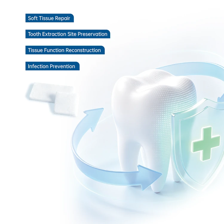 Dental Collagen Sponge