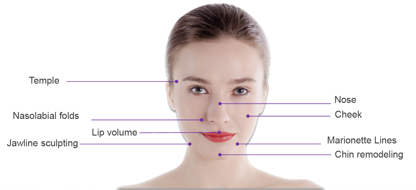 Singderm Universal Singderm Universal