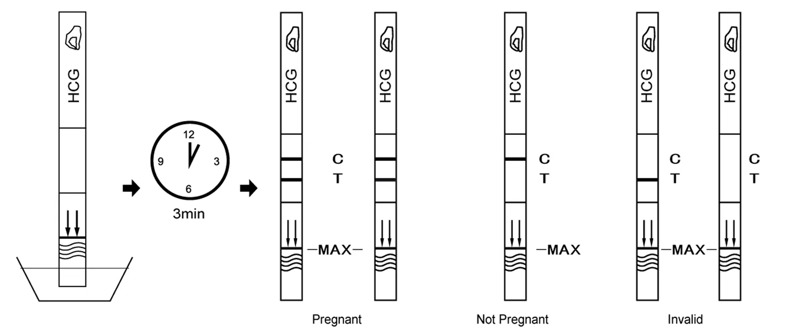 HCG HCG