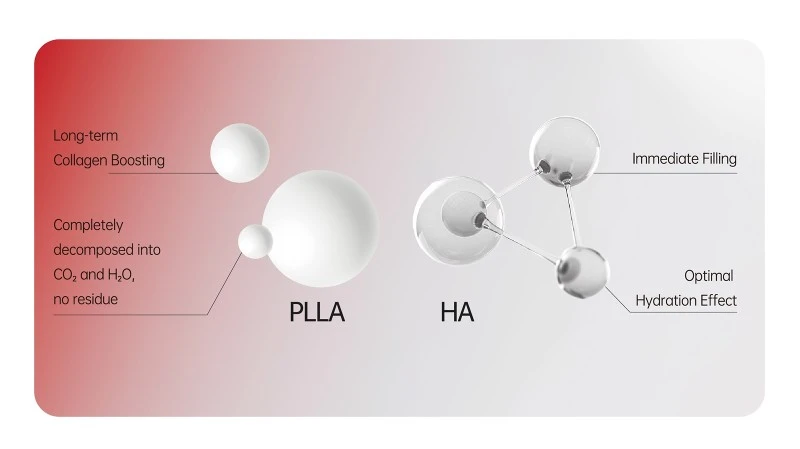 dual-mechanism dual-mechanism