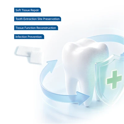 Dental Collagen Sponge